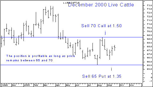 Bookie Trading Strategy